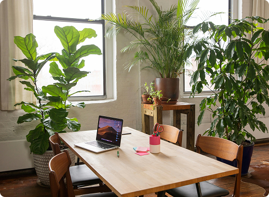workplace